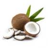 Arme :  Coconut 
Dernire mise  jour le :  10-09-2014 