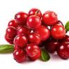 Arme :  Cranberry 
Dernire mise  jour le :  04-10-2014 