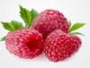 Arme :  Framboise 
Dernire mise  jour le :  26-07-2014 