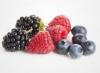 Arme :  Fruits Des Bois ( CigaStore ) 