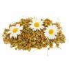 Arme :  Chamomile 
Dernire mise  jour le :  01-07-2016 