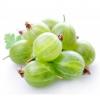 Arme :  Gooseberry ( CiggyJuice ) 