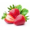 Arme :  Fraises 
Dernire mise  jour le :  28-11-2015 