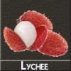 Arme :  Lychee 
Dernire mise  jour le :  03-07-2014 