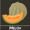 Arme :  melon par DIY and Vap