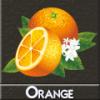 Arme :  Orange 
Dernire mise  jour le :  03-07-2014 