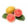 Arme :  Guava 
Dernire mise  jour le :  29-07-2014 