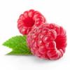 Arme :  Berryl Raspberry 
Dernire mise  jour le :  29-07-2014 