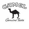 Flavor :  camel by HiLIQ