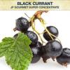 Arme :  Gourmet Black Currant Sc 
Dernire mise  jour le :  13-07-2014 