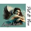 Arme :  Angel Heart 
Dernire mise  jour le :  04-11-2015 