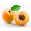 Arme :  Apricot 
Dernire mise  jour le :  05-04-2020 