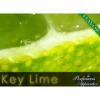 Arme :  key lime par Perfumer's Apprentice