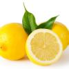 Arme :  Lemon 2 
Dernire mise  jour le :  26-05-2017 