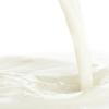 Arme :  malted milk par Perfumer's Apprentice