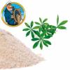 Arme :  Effervescent Powder Woodruff 
Dernire mise  jour le :  13-10-2016 