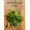 Arme :  Menthe Forte 
Dernire mise  jour le :  12-09-2014 