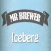 Arme :  iceberg par Mr Brewer